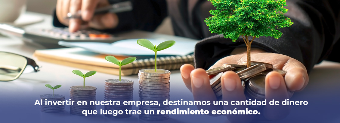Cuatro torres de monedas con plantica encima, mano sosteniendo monedas con árbol encima