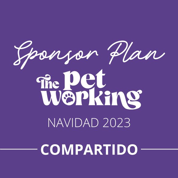 Paquete Especial Stand Plata Compartido The Pet Working Zone Navidad 2023
